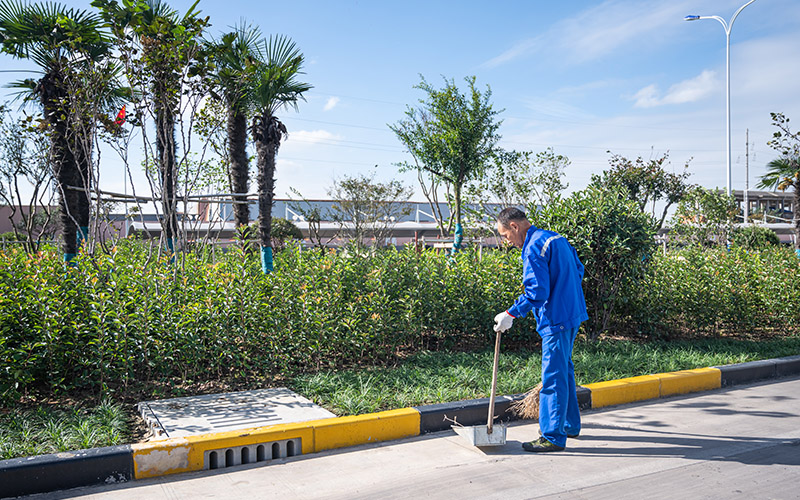 Plant environment